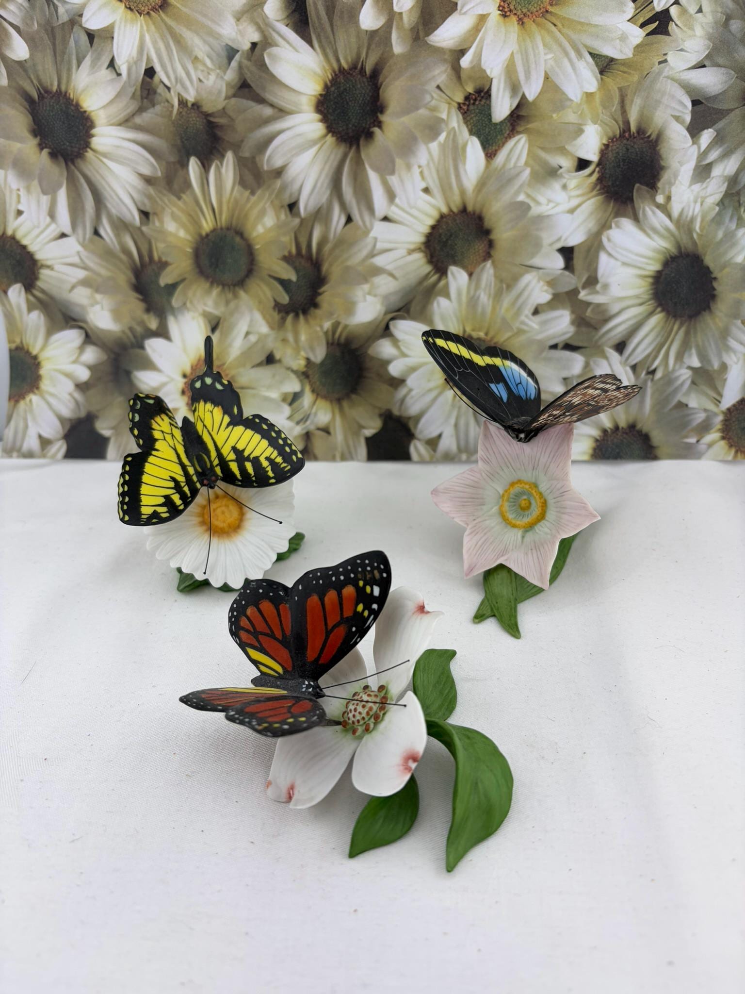 Franklin Mint Butterflies of the World - Etsy