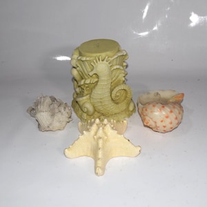 May include: A collection of sea-themed decor, including a beige seahorse candle, a starfish, and several seashells. The candle is cylindrical and features a seahorse design. The seashells are various shapes and sizes.