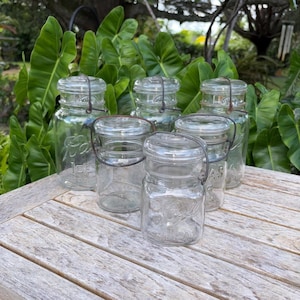 May include: A collection of clear glass jars with wire handles and lids. The jars are arranged on a weathered wooden table, with lush green foliage in the background. The jars vary in size and shape, with embossed text on the glass.