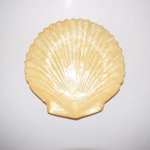 May include: A decorative, light-yellow seashell-shaped dish. The dish has a textured surface with radiating lines, and a scalloped edge. The shell is set against a white background. The dish is likely made of ceramic or a similar material.