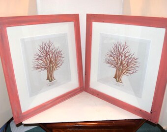Pair of Ocean Coral Prints Framed with Distressed Pink Salmon Colored Barnwood Driftwood Chalk Paint Wood Frame
