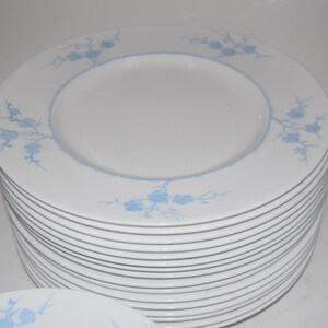 Pu&ograve; includere: Una pila di piatti in ceramica bianca con un motivo floreale azzurro sul bordo. I piatti fanno parte di un servizio di piatti, con tazze e piattini coordinati visibili sullo sfondo.