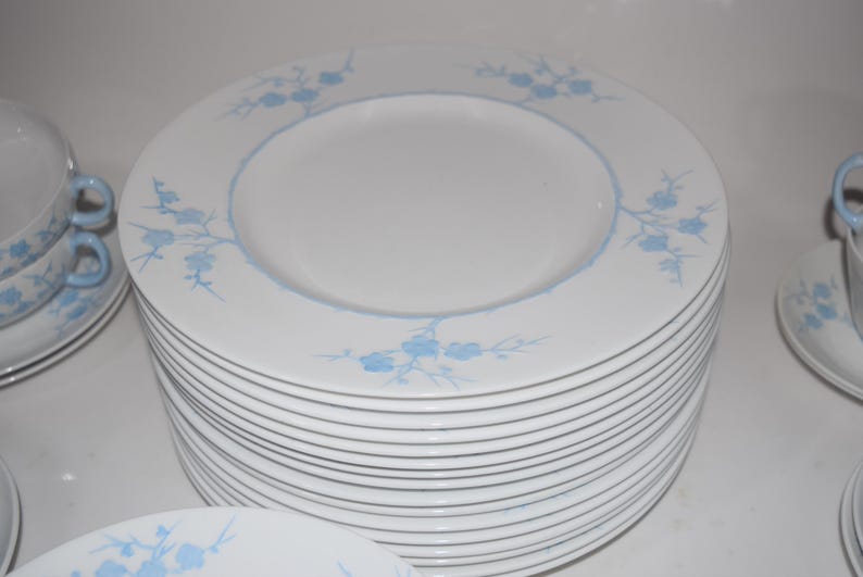 Pu&ograve; includere: Una pila di piatti in ceramica bianca con un motivo floreale azzurro sul bordo. I piatti fanno parte di un servizio di piatti, con tazze e piattini coordinati visibili sullo sfondo.