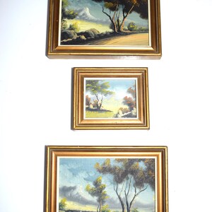 Op de afbeelding: Drie ingelijste landschapsschilderijen met goudkleurige lijsten. De schilderijen tonen bomen, water en een bewolkte lucht. Het kunstwerk wordt tentoongesteld tegen een witte achtergrond.
