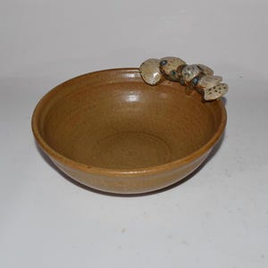 May include: A brown ceramic bowl with a unique handle made of sculpted ceramic mushrooms. The bowl has a speckled glaze and a slightly rounded shape.