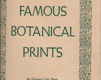 Antique Famous Botanical Prints MVW 1925 Color Prints Mary Vaux Walcott Mary Walcott Flower 1925 Botanical Art Prints  SOLD SEPARATELY