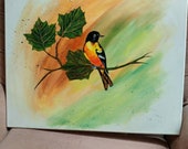 Oriole Bird Painting Orange 16 x 20 Acrylic on Stretched Canvas