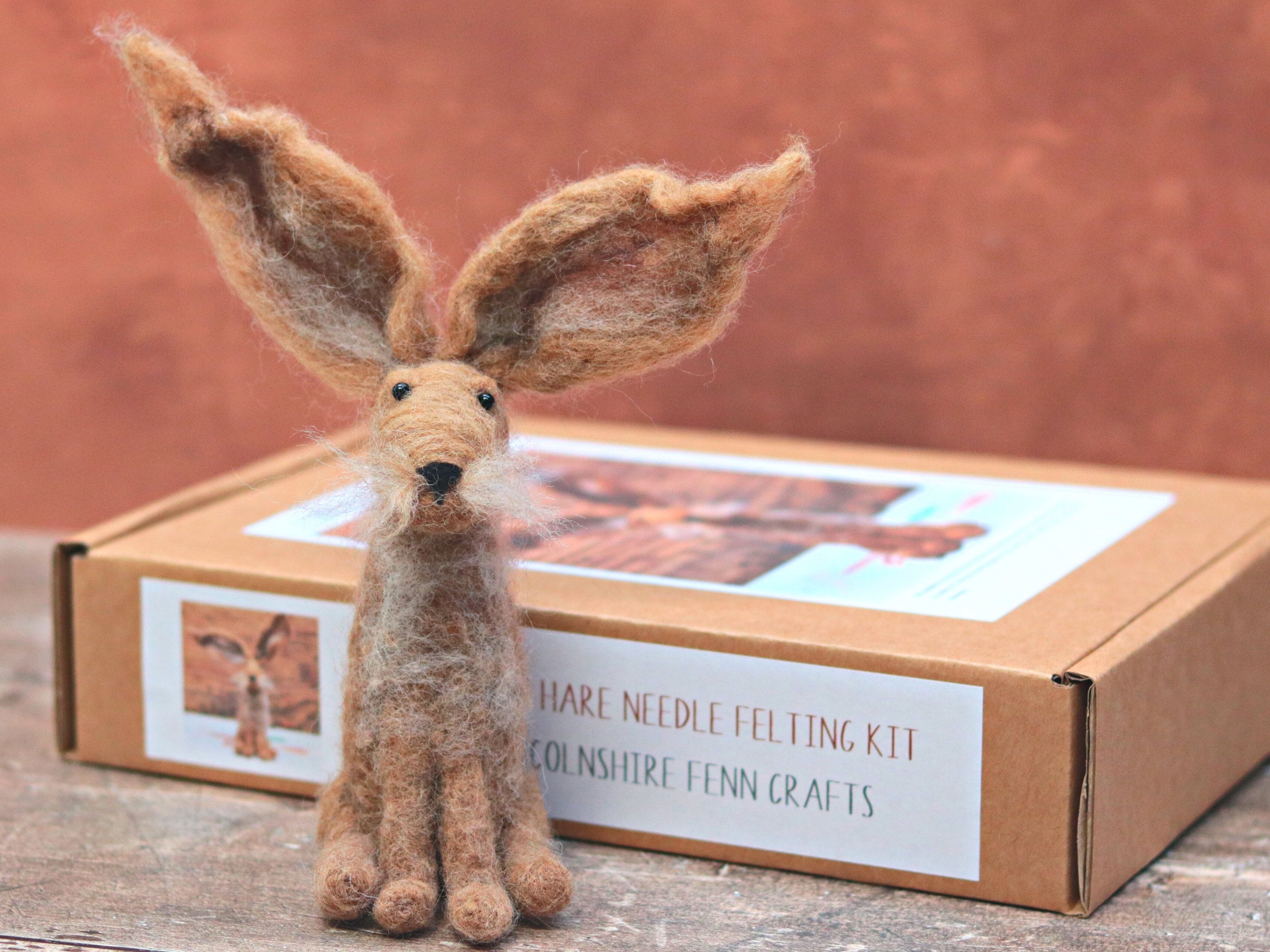 Kit: Bunny Needle Felt Kit, DIY Craft Kit, Felting Kit 