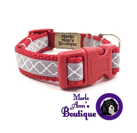 xs dog collar