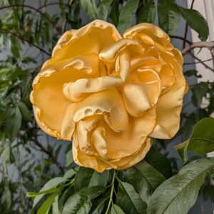 May include: A large, golden-yellow satin flower with layered petals. The flower is surrounded by green leaves and branches, creating a natural, floral arrangement. The flower's texture appears soft and luxurious.