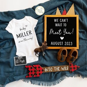 Rustic DIGITAL Pregnancy Announcement Woodland Style a Personalized Pregnancy Reveal for Family & Friends, Social Media Post, Gender Neutral