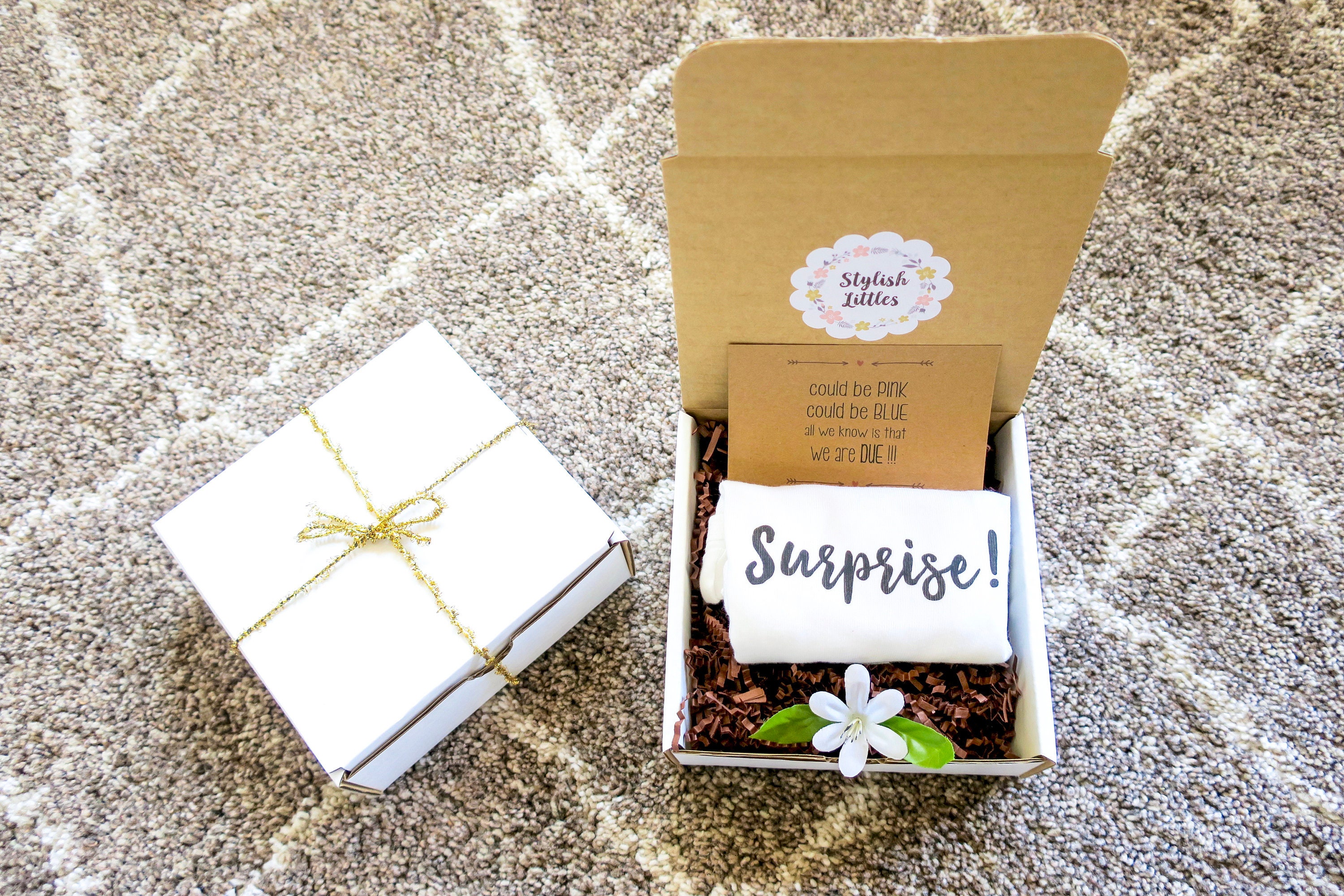 Surprise Pregnancy Announcement Ideas PregnancyWalls