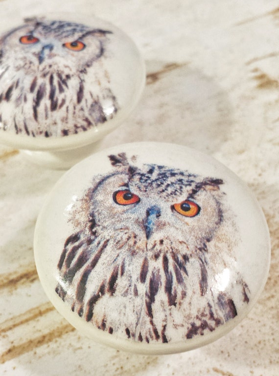 Owl Bird 4 Handmade Knobs Drawer Pulls 1 5 Inch Cabinet Pull
