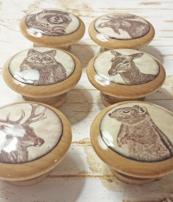 Handmade 1.5 Wildlife Animal Knobs Set of 6 Knob Drawer Etsy