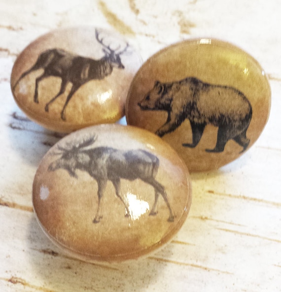 3 Handmade 1.5/" Wildlife Animals Birch Knobs Wild Animal Knobs Lodge Decor