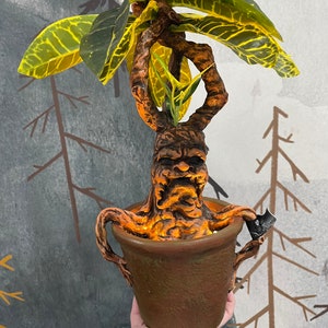 Personalized The Mandrake Root Hat Beanie Newborn Teen -  Portugal