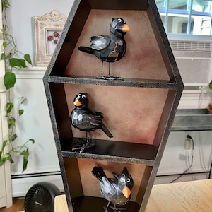 Halloween Oddities Coffin Shelf