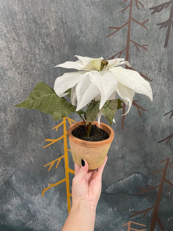 Faux Potted weie Weihnachtssterne - Etsy.de