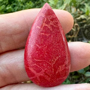Teardrop Red Coral Style Jewelry Creations, Natural Ocean Specimen, 40mm