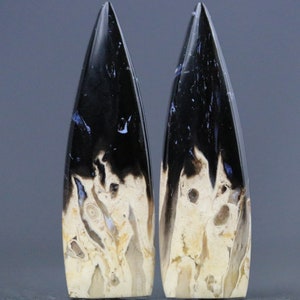 Palm Root Fossil Cabochon Pair – Petrified Wood Gemstones for Earrings, Jewelry & Healing Energy