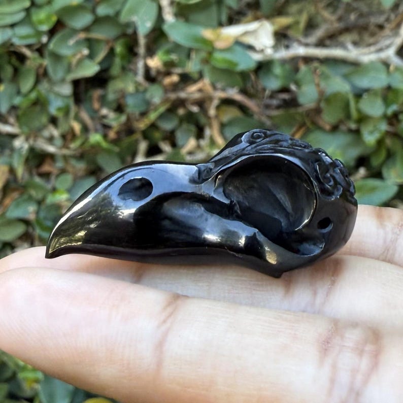 May include: A polished black raven skull sculpture with detailed carving. The bird skull is held in a hand, highlighting its smooth surface and the intricate design of the skull's features. The sculpture is a decorative item.