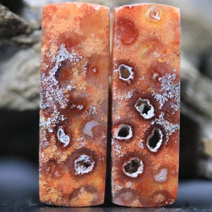 Pair Earthy Red Fossilized Coral, Ancient Ocean Beauty, 32mm