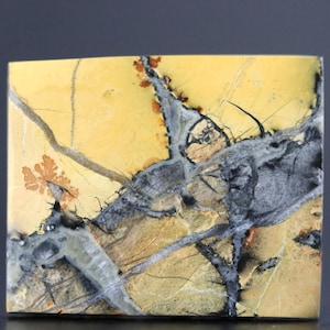 Earth&#39;s Canvas: Maligano Jasper Gem with Dendritic Landscape, Reversible Gemstone, 32mm