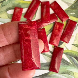 Rote Koralle Rechteck Cabochon • 41 mm Fokalschiene für Ohrringe, Anhänger, Perlenstickerei