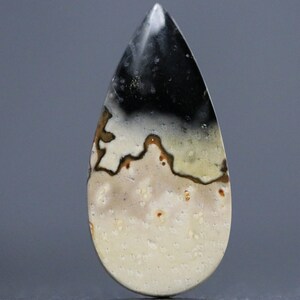 Natural Palm Root Teardrop Cabochon – Fossilized Petrified Palm Root Gemstone for Jewelry & Collectors