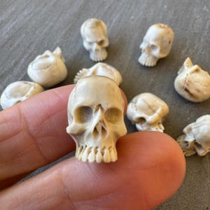以下が含まれることがあります： 小さなオフホワイトの頭蓋骨の置物のコレクション。頭蓋骨には、眼窩、鼻腔、歯など、詳細な特徴があります。頭蓋骨は灰色の表面に配置されています。頭蓋骨は、装飾目的またはクラフトプロジェクトの一部として使用される可能性があります。