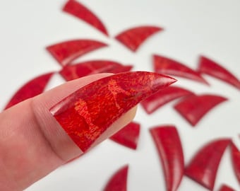 Red Coral Tooth Gemstone Focal • Organic Cabochon • 34mm