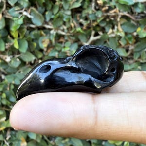 May include: A polished black raven skull sculpture. The bird skull is highly detailed, with visible eye sockets and a curved beak. The sculpture is held in a hand, with a green leafy background.