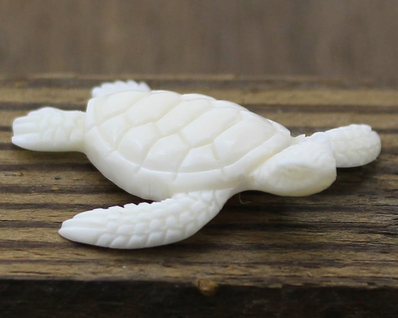 Hand-carved white buffalo bone sea turtle cabochon shown from above, with detailed shell plates and textured flippers outstretched as if swimming, resting on rustic wood as a focal for coastal and beach-inspired jewelry designs.