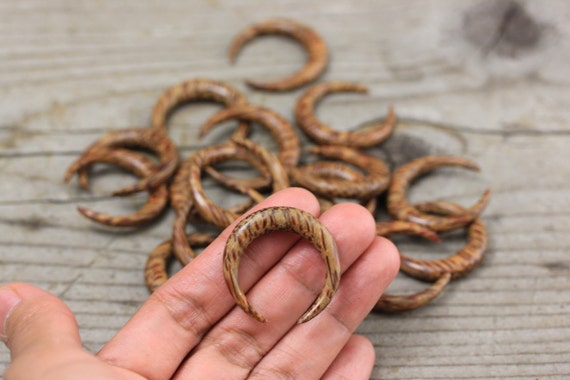 5 PIECE SET Double Horn Crescent Moon Exotic Palm Wood Organic