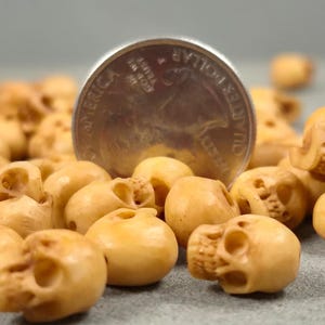 Perline di teschio osseo intagliato • Mini forate nella parte superiore • Macchia antica • ~10 mm