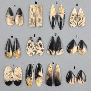 May include: Twelve pairs of agate cabochons, each pair labeled with a letter from a to l. The cabochons are various shapes and sizes, with black and white patterns.