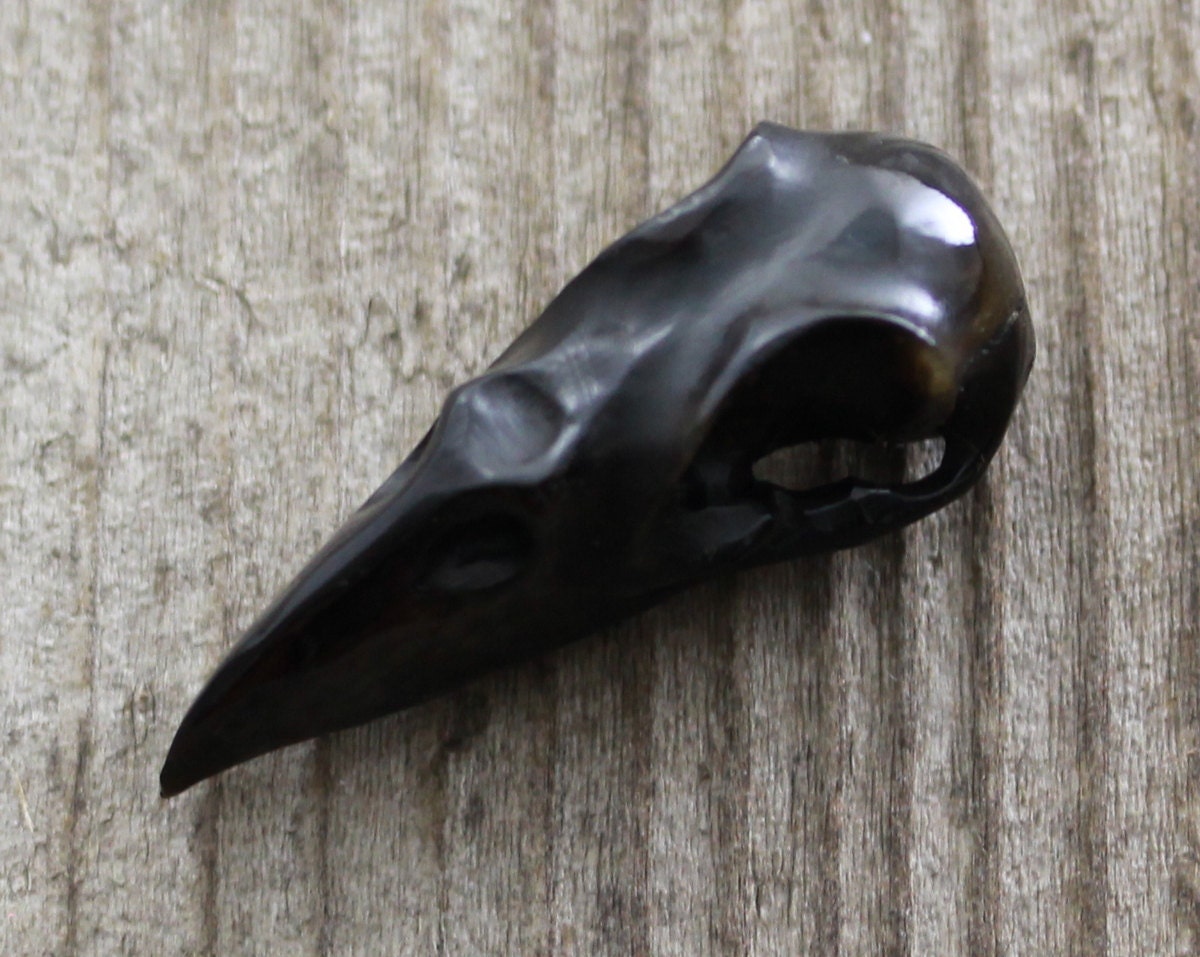 32mm Raven Skull Carving Carved Bull Horn Bird Skull Bead | Etsy