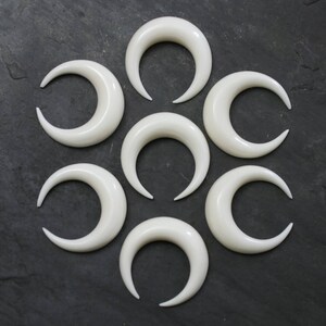 May include: Eight white crescent moon shaped bone plugs. The plugs are arranged in a circle on a dark gray background.