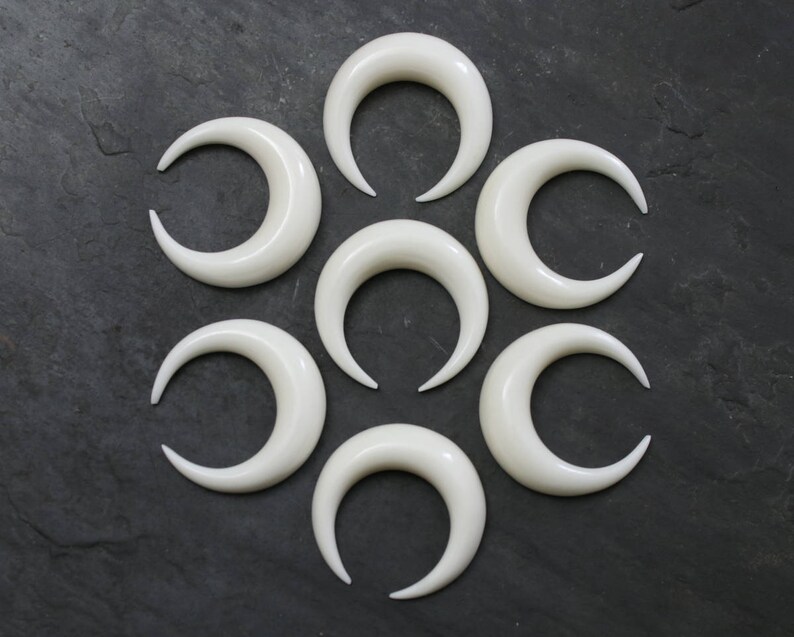 May include: Eight white crescent moon shaped bone plugs. The plugs are arranged in a circle on a dark gray background.