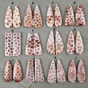 Op de afbeelding: Een verzameling gepolijste edelsteen cabochons in diverse vormen, waaronder druppel, ovaal en rechthoekig. De stenen hebben een mix van crème, bruin en tan kleuren met unieke patronen, geschikt voor het maken van sieraden of knutselen.