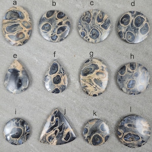 Può includere: Una collezione di dodici pietre preziose lucide di varie forme, tra cui ovali, rotonde, a goccia e triangolari. Le pietre presentano un motivo unico di vortici e macchie blu scuro e beige, creando un aspetto naturale e organico. Le pietre preziose sono esposte su una superficie grigia neutra.