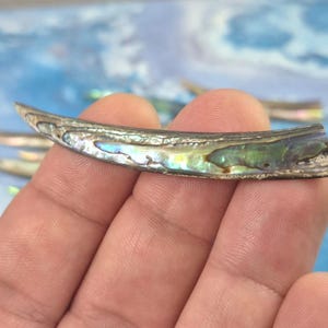 Colmillo de concha de abulón tallado a mano Focal • 75 mm