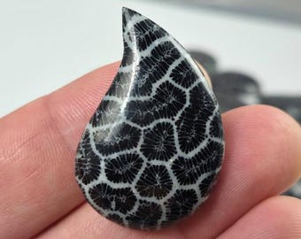Black Coral Teardrop Statement Cabochon • 40x27mm