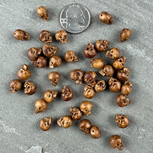 Dark Antique Skull Beads Hand Carved Bone Tiny Gothic Beads • 10mm