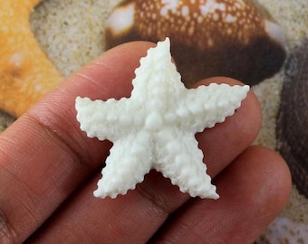 Hand Carved Bone Starfish Pendant 31mm Beach Ocean Charm Textured Focal