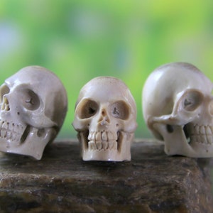 Realistic Human Skull Hand Carved from Deer Antler, 30-35mm