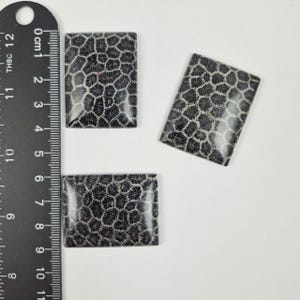 Könnte beinhalten: Drei rechteckige Fossilkorallen-Cabochons mit einem schwarz-weißen Muster. Die Cabochons sind auf einer weißen Oberfläche neben einem Lineal angeordnet. Die Cabochons sind etwa 4 cm bis 6,5 cm lang.