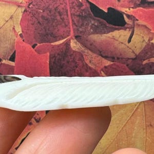 May include: A carved, off-white feather pendant with a small, dark brown accent. The pendant has a hole at the end for stringing. The feather design is detailed with carved lines. The background is a mix of autumn leaves.
