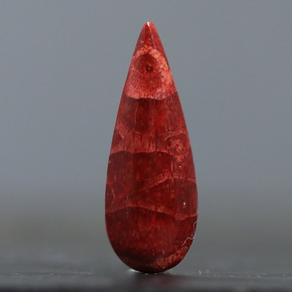 Red Coral Organic Gemstone