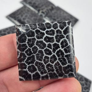 May include: A square, polished stone with a black and white patterned design. The pattern resembles a network of interconnected cells or veins. The stone is held in a hand, with other similar stones visible in the background.
